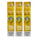Pack of 3 VAPEURS Disposable Pod Kit | 800 Puffs | 0MG