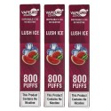 Pack of 3 VAPEURS Disposable Pod Kit | 800 Puffs | 0MG